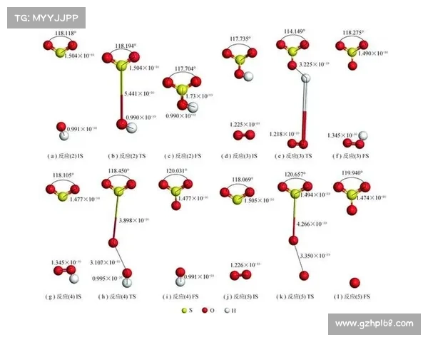 洞穴行动支援策略实施的关键步骤与优化路径分析
