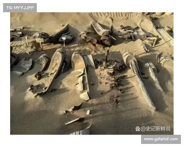 揭开尘封往事的神秘面纱 十大隐藏剧情大揭秘 让你震撼不已