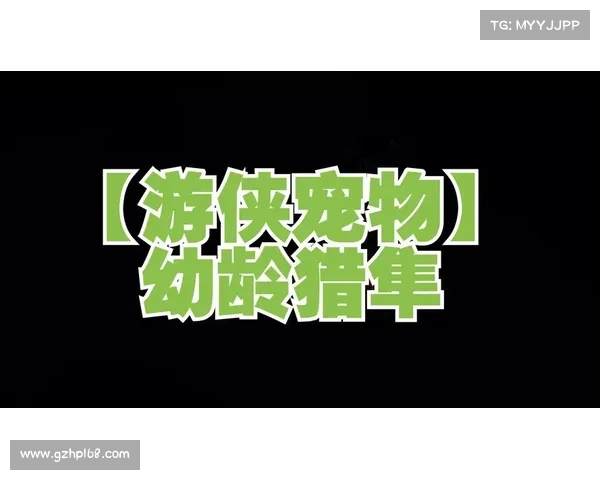 游侠宠物捕捉技巧解析提高捕捉成功率的关键方法与注意事项