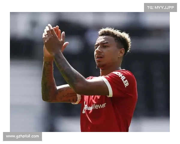 林加德屡成调侃对象的深层原因与背后故事的多维度全景解读详析篇